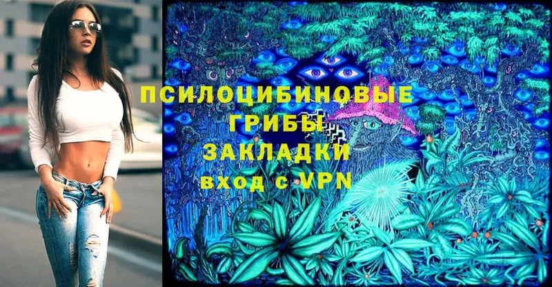 даркнет сайт  Камешково  Галлюциногенные грибы Psilocybine cubensis 